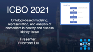 Ontology-based modeling, representation, and analysis of biomarkers in healthy and disease kidney tissue - Yingtong Liu